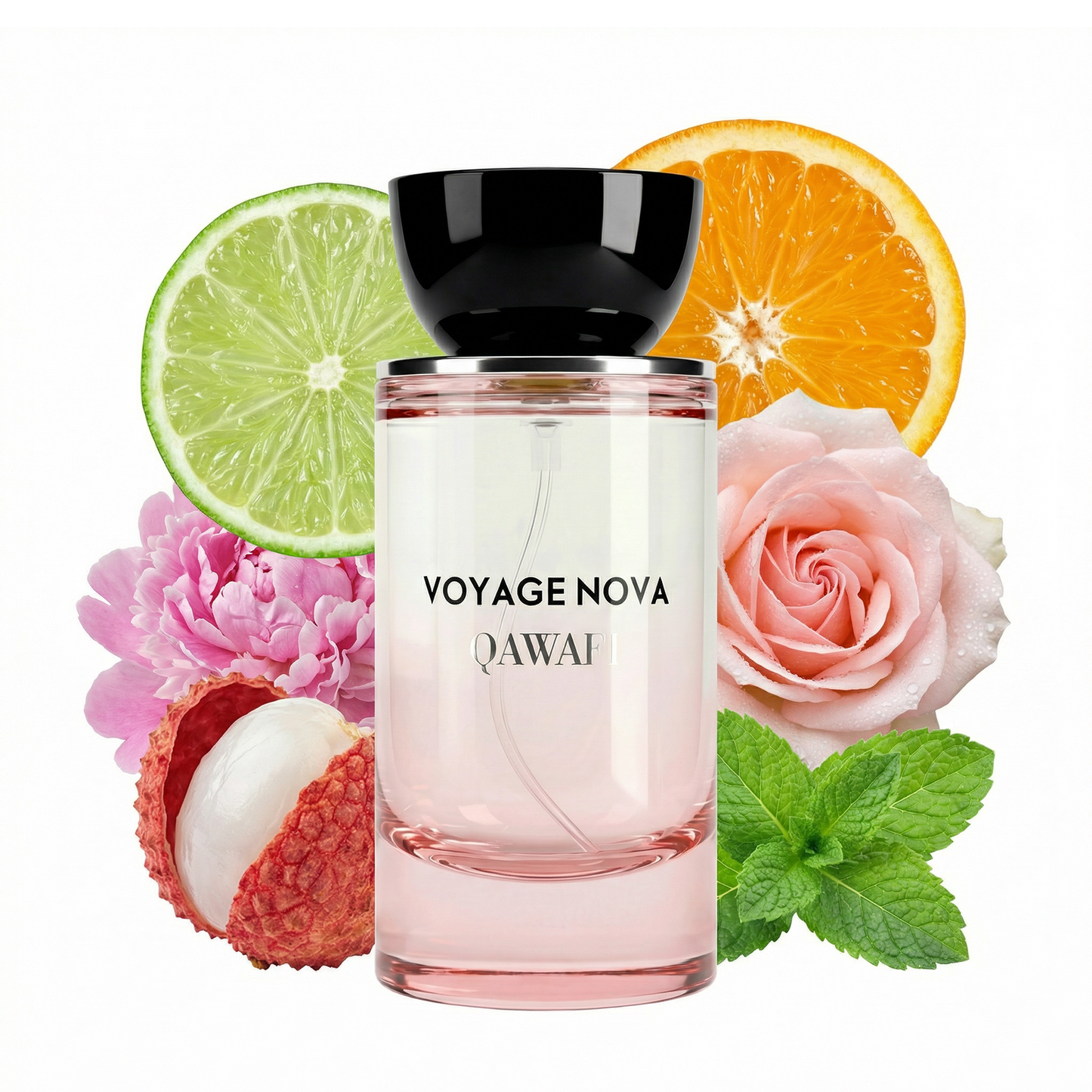 Qawafi Voyage Nova - Inspired By Louis Vuitton Attrape-Rêves - Full Size