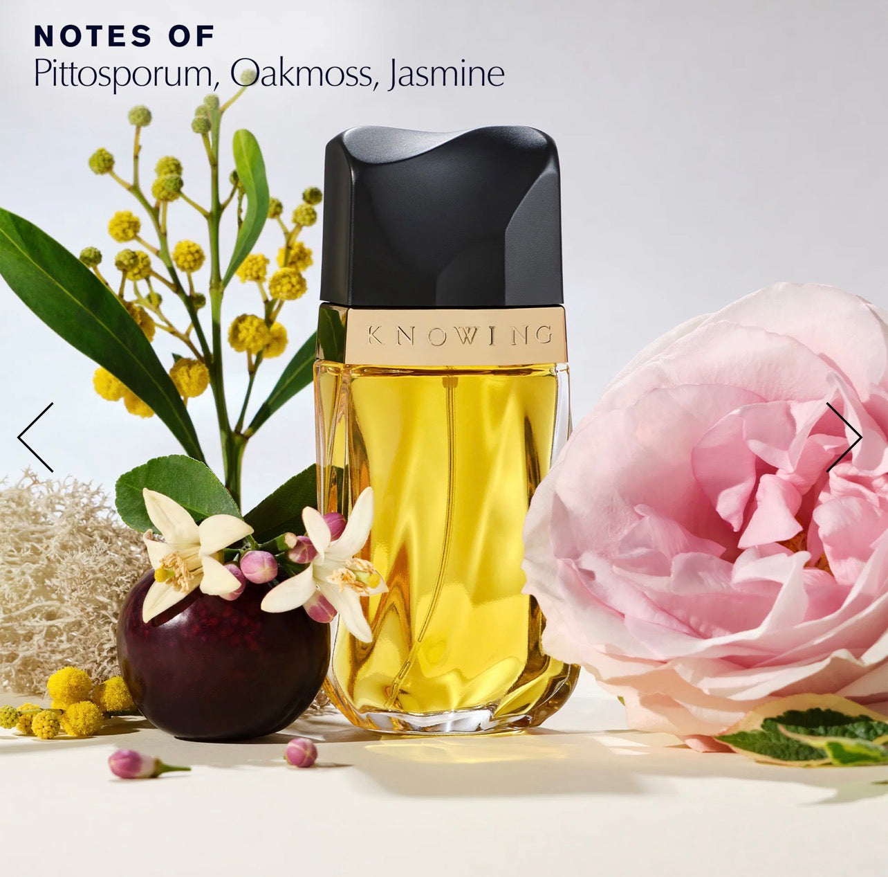 Special Order - Estee Lauder Bundle