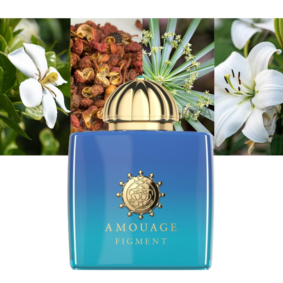 Amouage Figment Luxury Sample